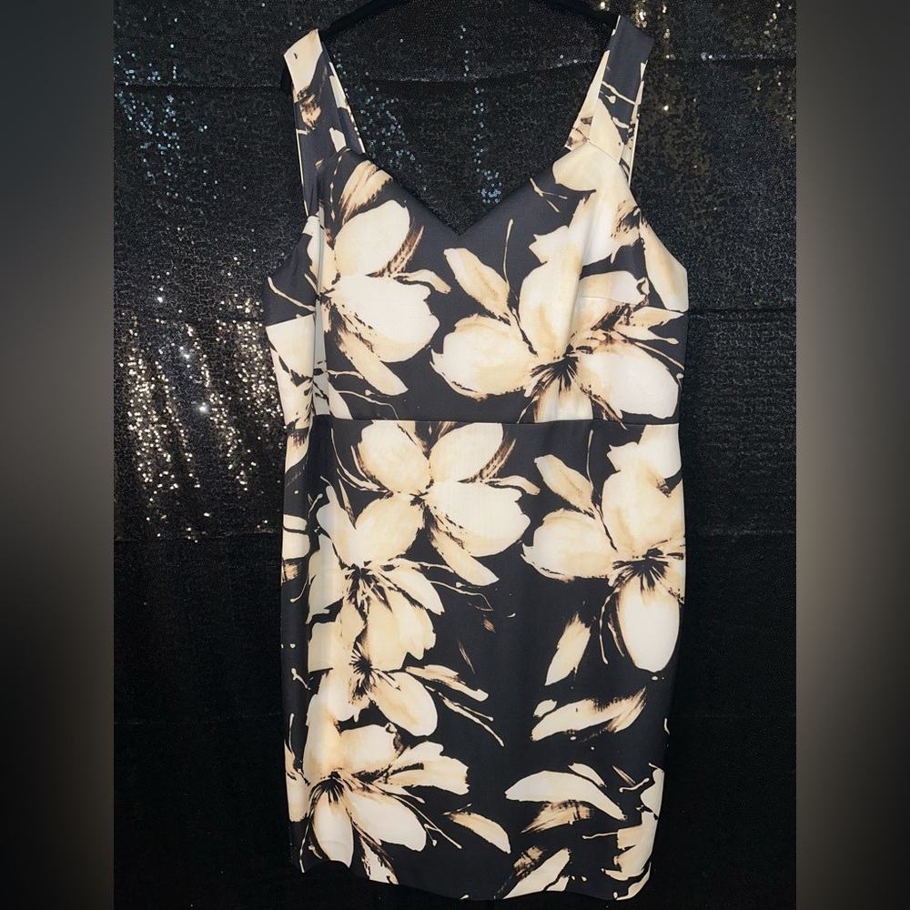 Dress Barn Black and Cream Floral Mini Dress